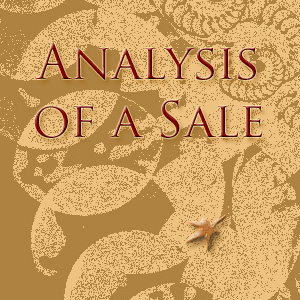 Analysis of a Sale