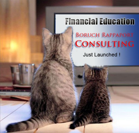 Financial Education: Consulting Seminar