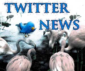 Twitter Follow