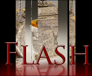 Flash Website Components
