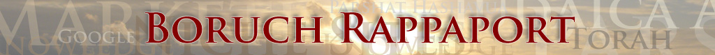 Boruch Rappaport
