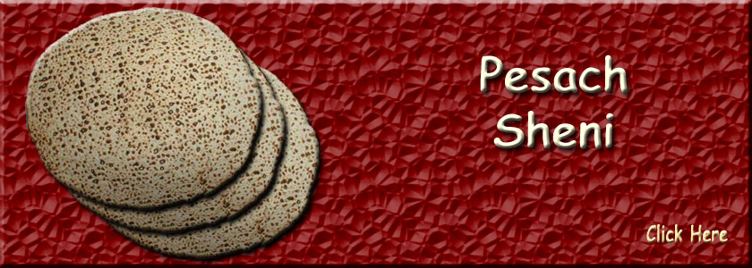 Pesach Sheni