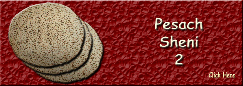 Pesach Sheni