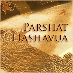 Parshat Hashavua image