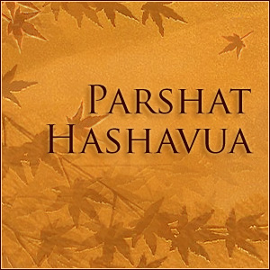Parshat Hashavua