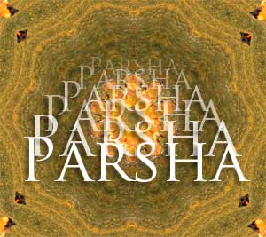 Parsha on Boruch Rappaport Author Blog
